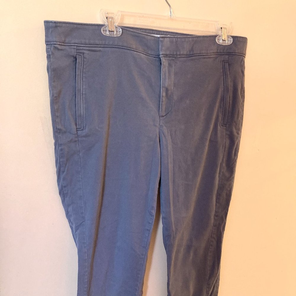 Ann Taylor Gray Pants